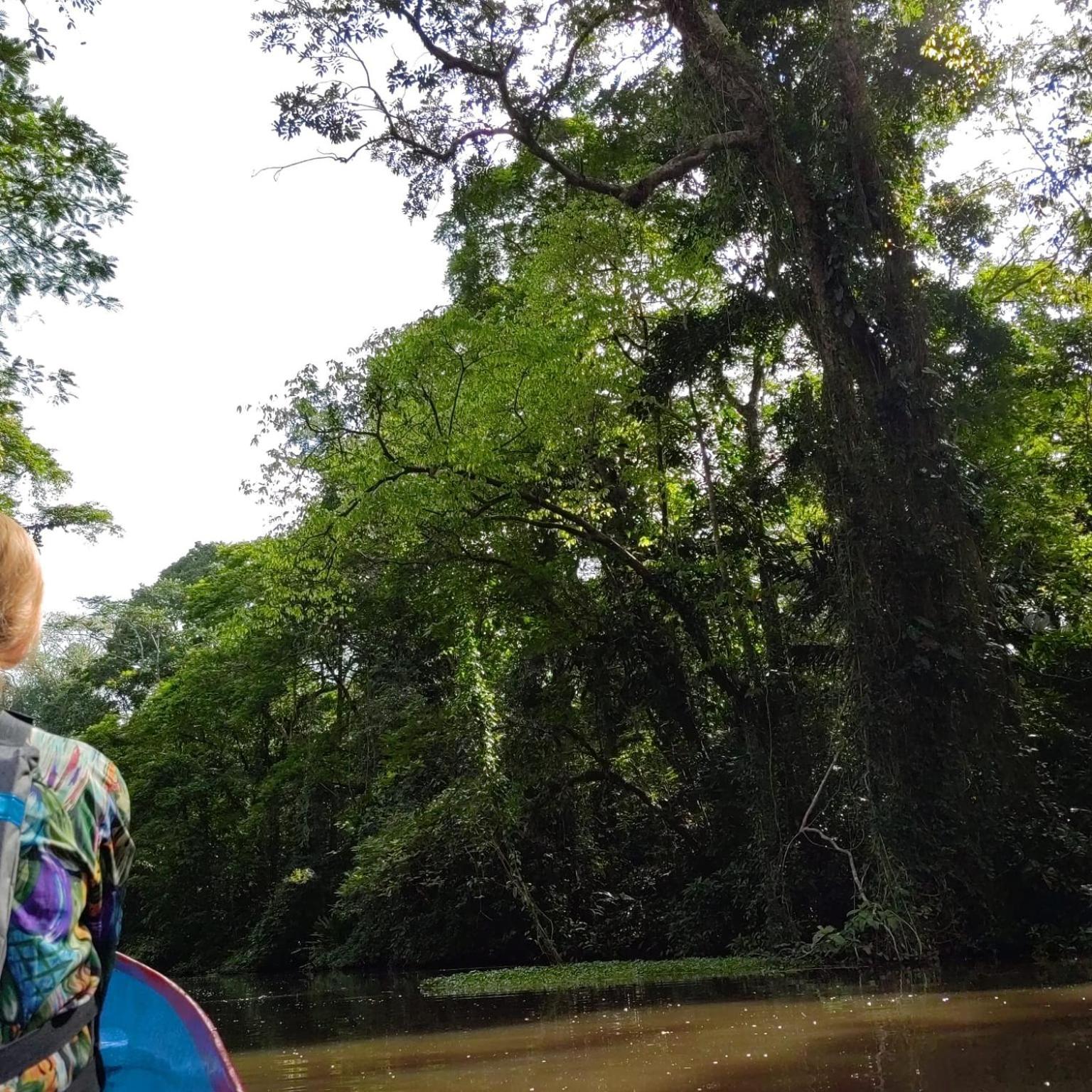 Tortuguero Villas Kültér fotó