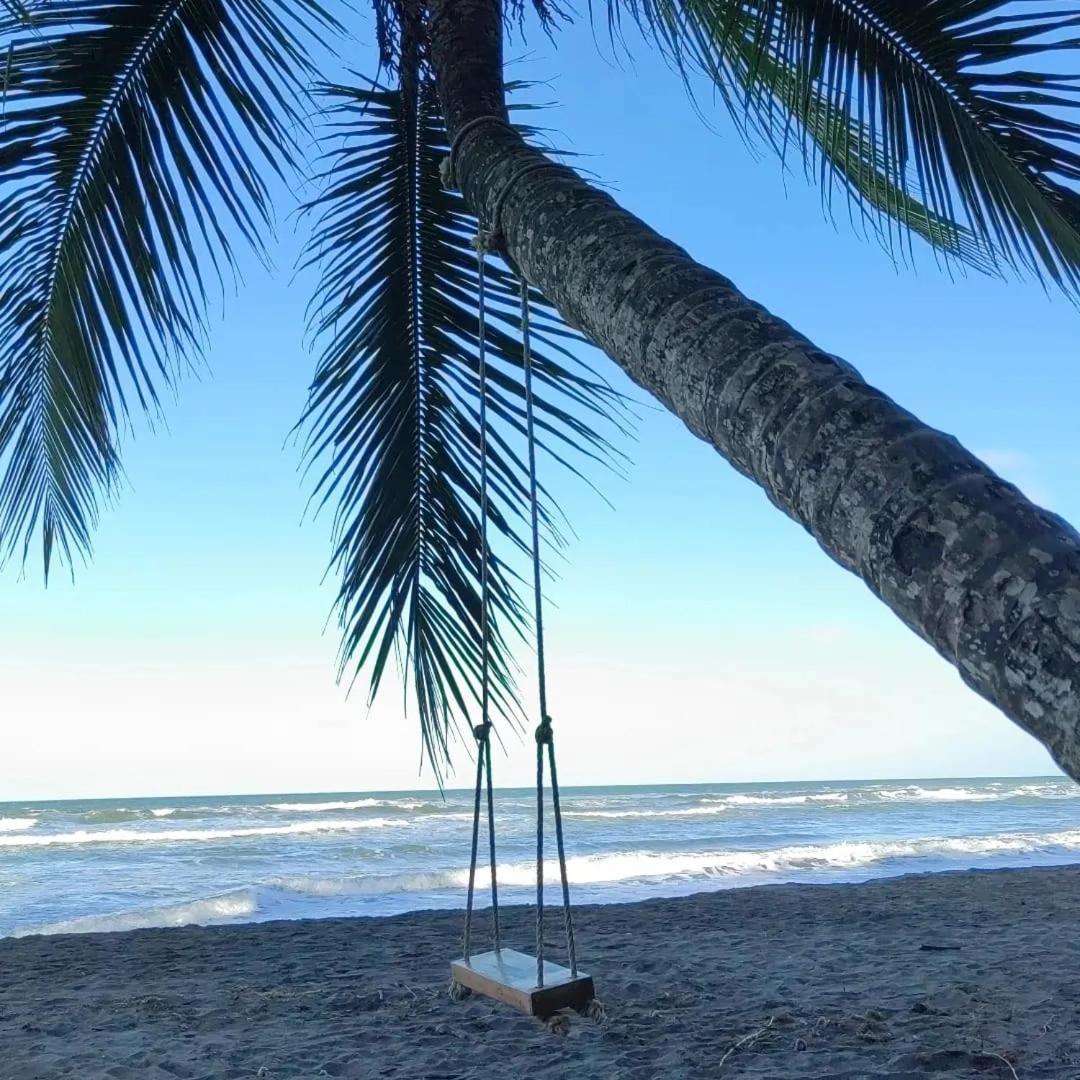 Tortuguero Villas Kültér fotó