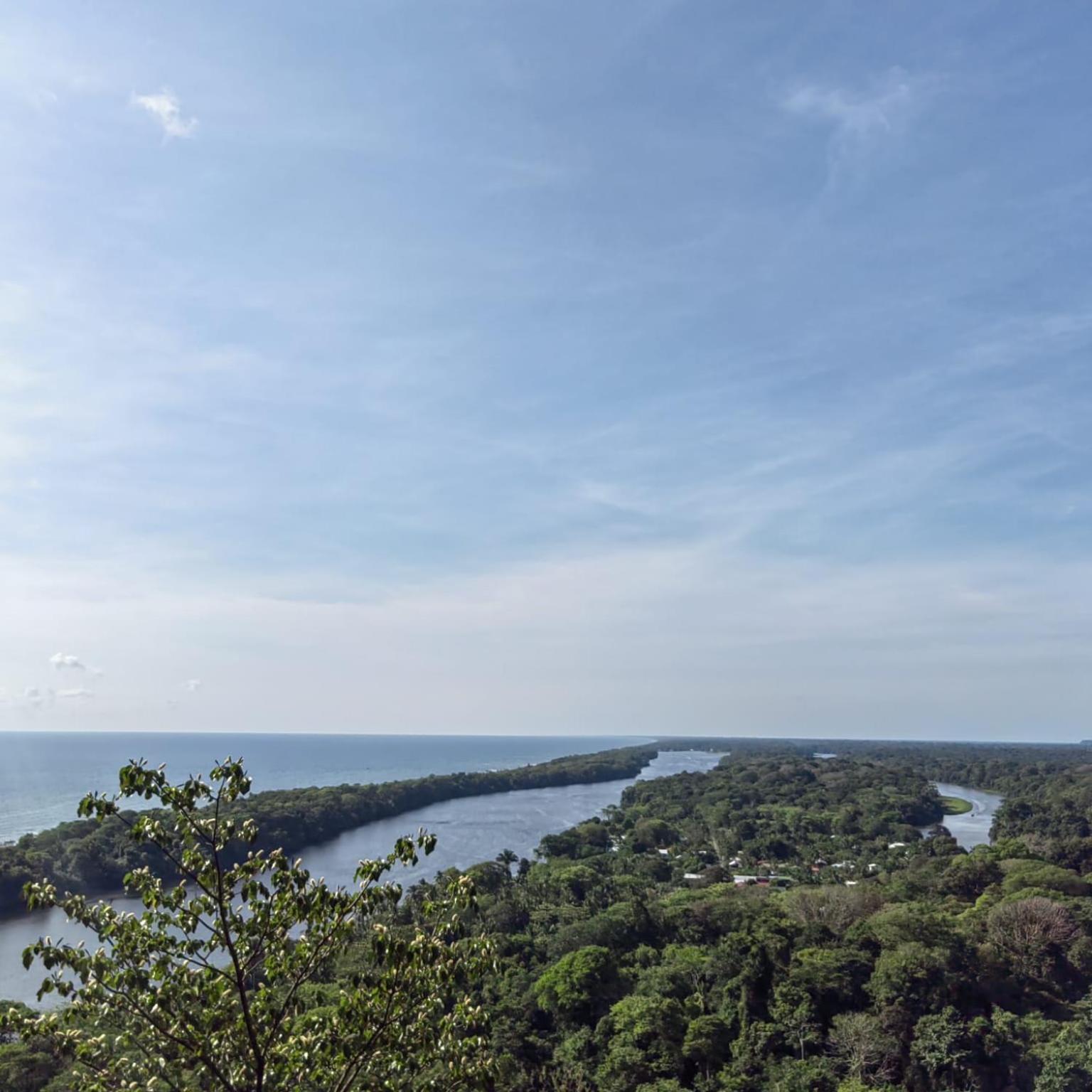 Tortuguero Villas Kültér fotó