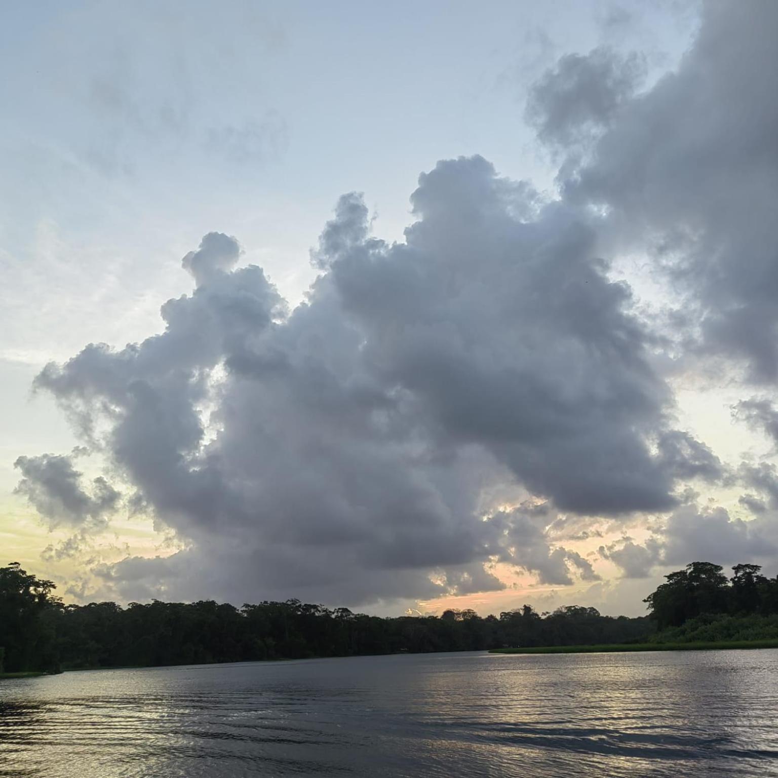 Tortuguero Villas Kültér fotó